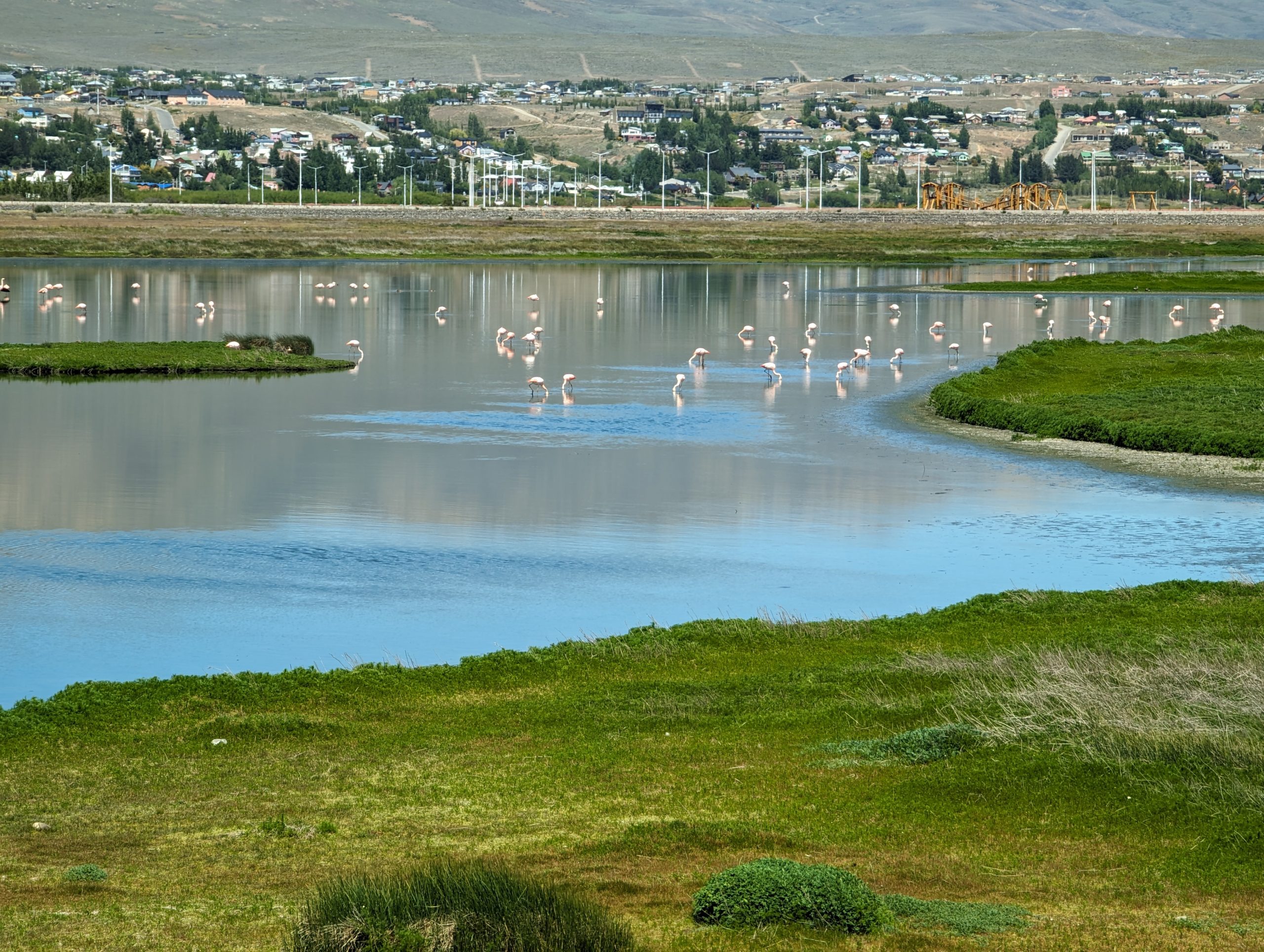 Besuch aus der Heimat