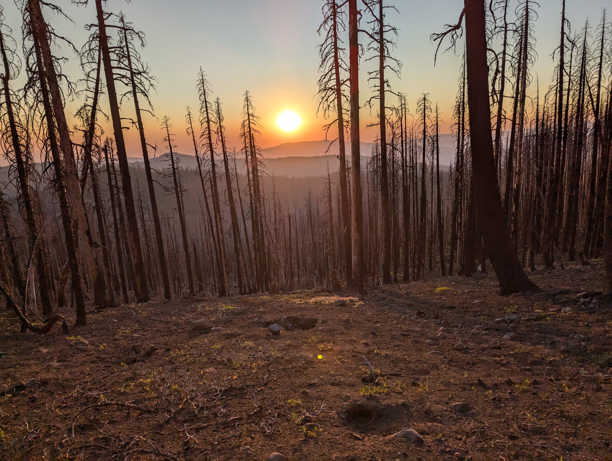 Halftime – Mile 1196 to 1339