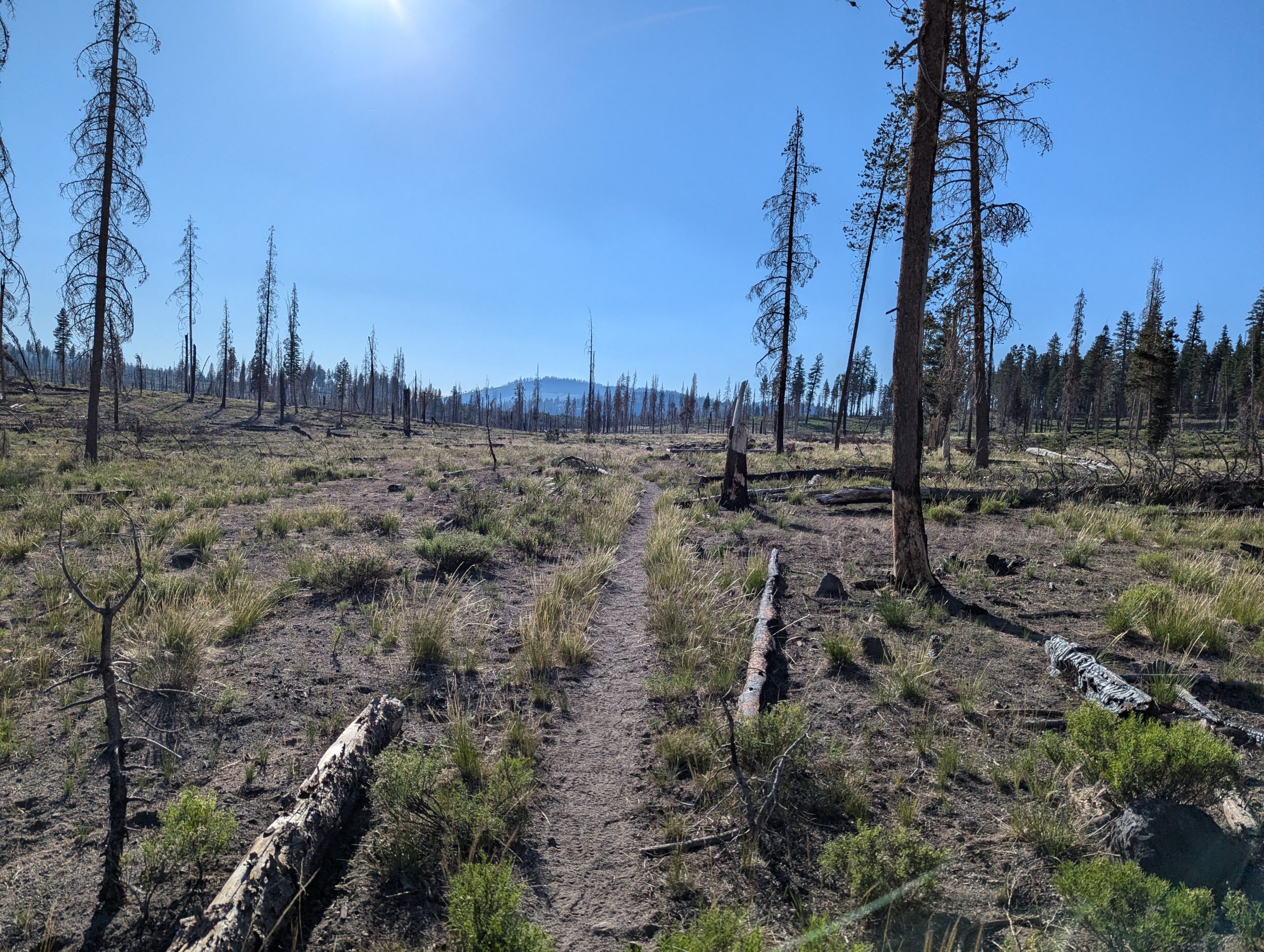 Anstrengende Tage – Meile 1339 bis 1502